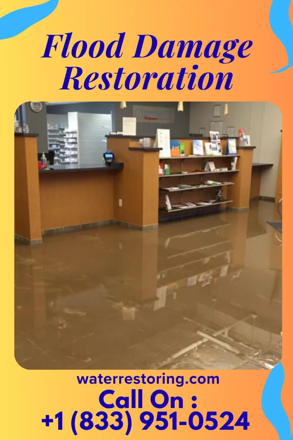 Flood Damage Restoration in Freeburg, IL