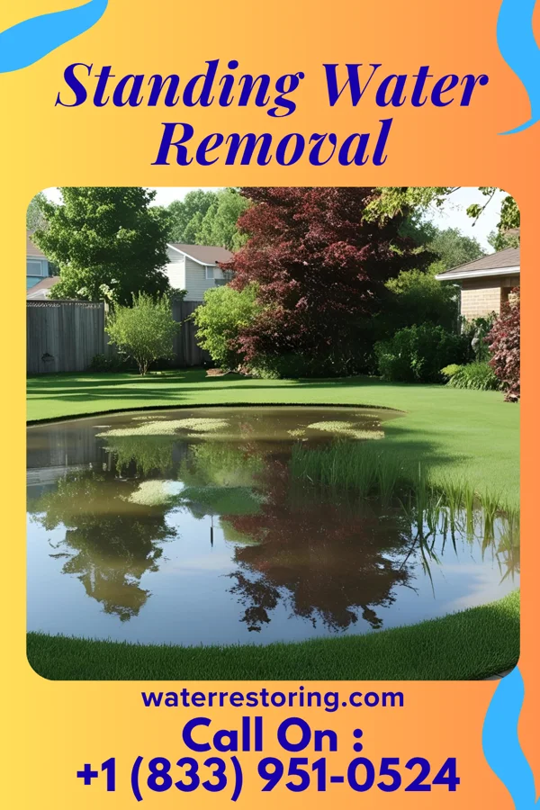 Standing Water Removal in Freeburg, IL